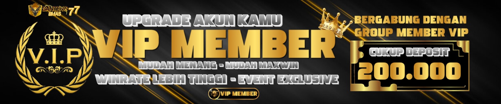 EVENT VIP
